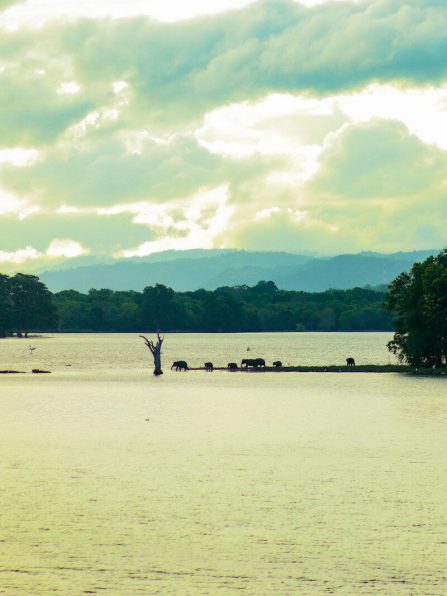 a body of water with trees and mountains in the background